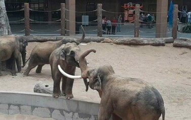 ZOO Ł&oacute;dź 2