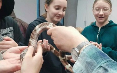 ZOO Ł&oacute;dź 4