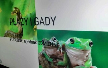 ZOO Ł&oacute;dź 12