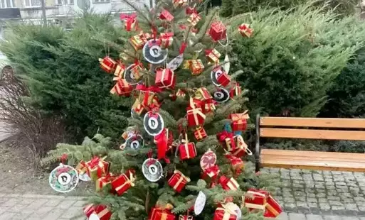 Zdjęcie do Nasza choinka